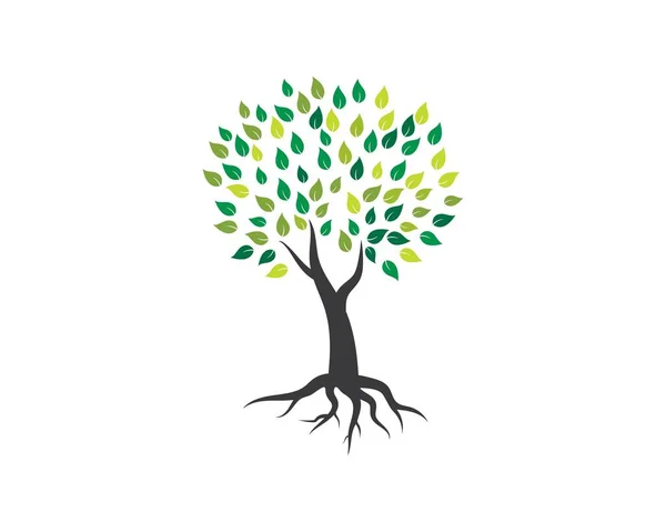 Szablon logo drzewa — Wektor stockowy