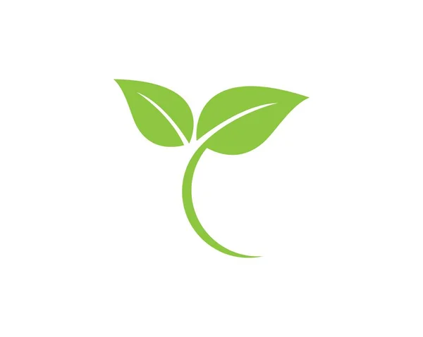 Verde frunze ecologie element natura — Vector de stoc