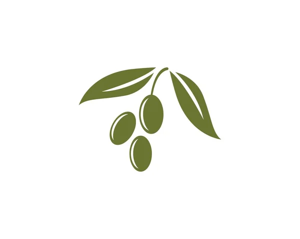 Zeytin logo şablonu — Stok Vektör