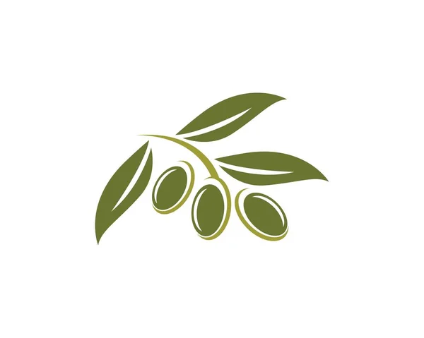 Zeytin logo şablonu — Stok Vektör