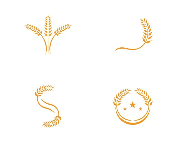 Πρότυπο λογότυπο σιτάρι — Διανυσματικό Αρχείο