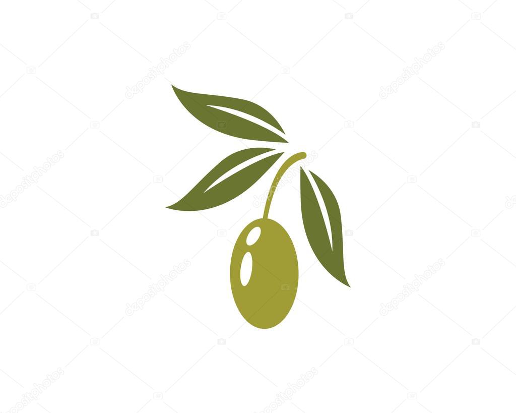 Olive logo template vector design