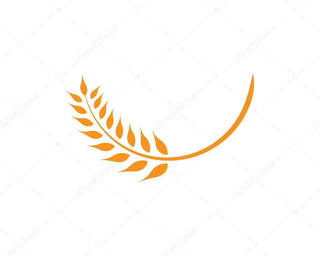 Education Logo Template vector illustration design