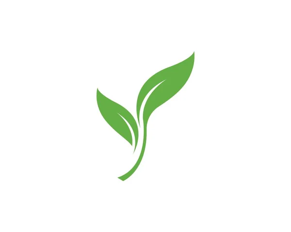 緑の葉生態系自然要素 — ストックベクタ
