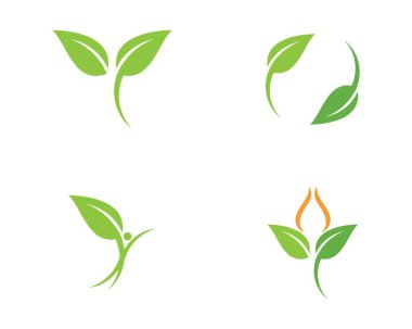  Yeşil yapraklı ekoloji doğa elementi 