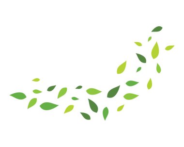 yaprak yeşil arka plan