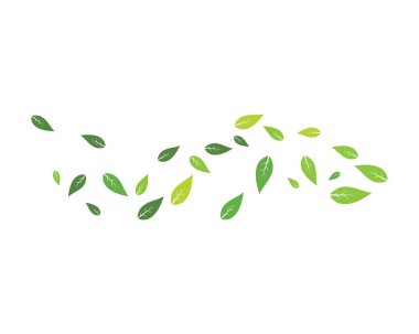 yaprak yeşil arka plan