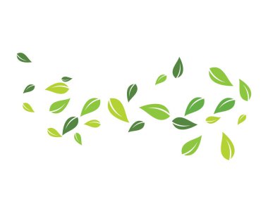 yaprak yeşil arka plan