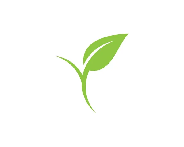 Verde frunze ecologie element natura — Vector de stoc