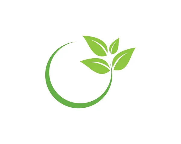 Οικολογικό στοιχείο πράσινων φύλλων — Διανυσματικό Αρχείο