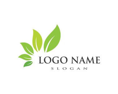  Yeşil yapraklı ekoloji doğa elementi 