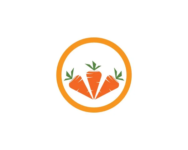 Cenoura ilustração logotipo vect —  Vetores de Stock