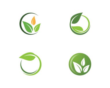 Yeşil yapraklı ekoloji doğa elementi 