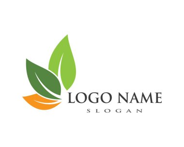 Yeşil yapraklı ekoloji doğa elementi 