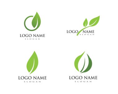 Ağaç yaprak vektör logo tasarımı