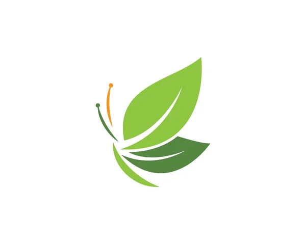 Vorlage Schmetterling Blatt Logo — Stockvektor