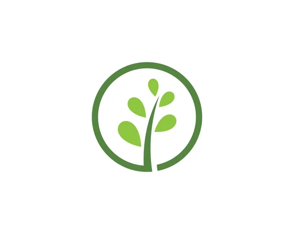 Diseño del logotipo del vector de hoja de árbol — Vector de stock