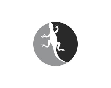 Gecko logo vektör