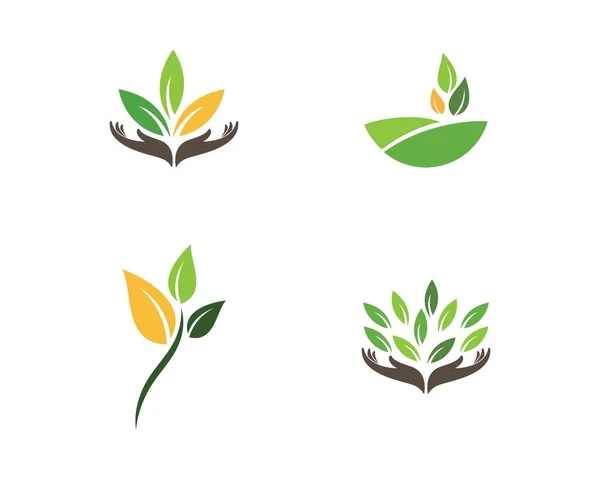 Green leaf ecology nature element — Stock Vector