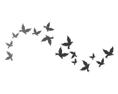 Kuş arka plan Şablonu