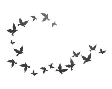 Kuş arka plan Şablonu