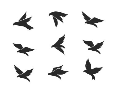 Kuş arka plan Şablon vektörü