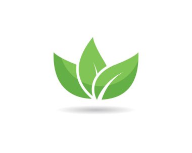 Yeşil yapraklı ekoloji doğa elementi