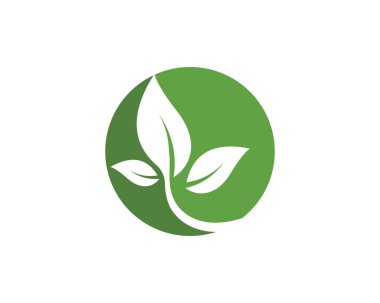 Yeşil yapraklı ekoloji doğa elementi 