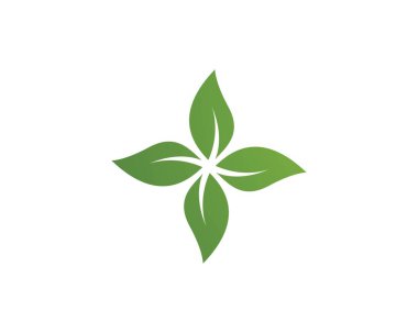 Yeşil yapraklı ekoloji doğa elementi 