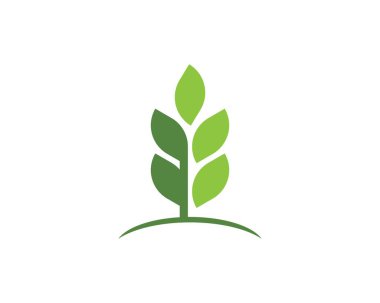  Yeşil yapraklı ekoloji doğa elementi 