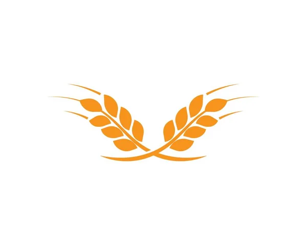 Wheat Logo Template — Stock Vector