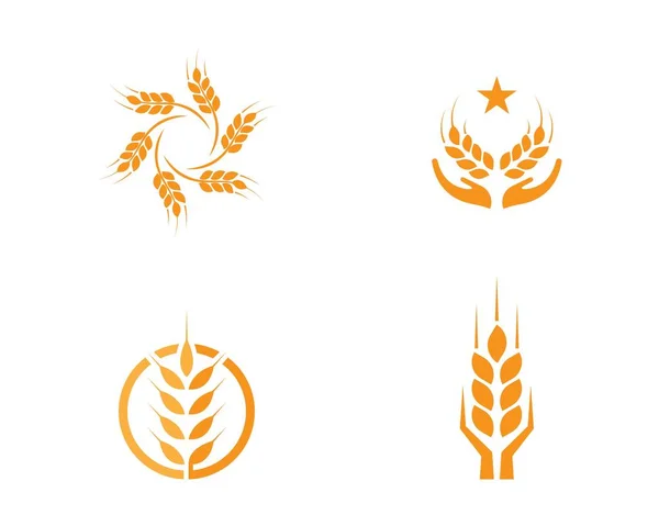 Modelo de logotipo de trigo —  Vetores de Stock