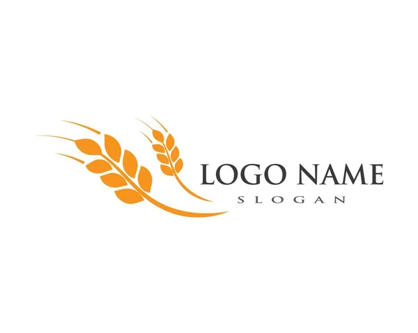 Wheat Logo Template — Stock Vector