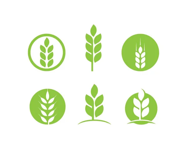 Tree leaf vector logo design — Stock Vector