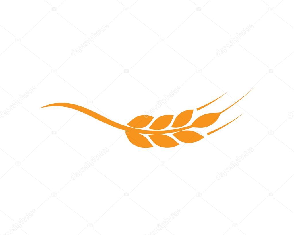 Agriculture wheat Logo Template vector icon design