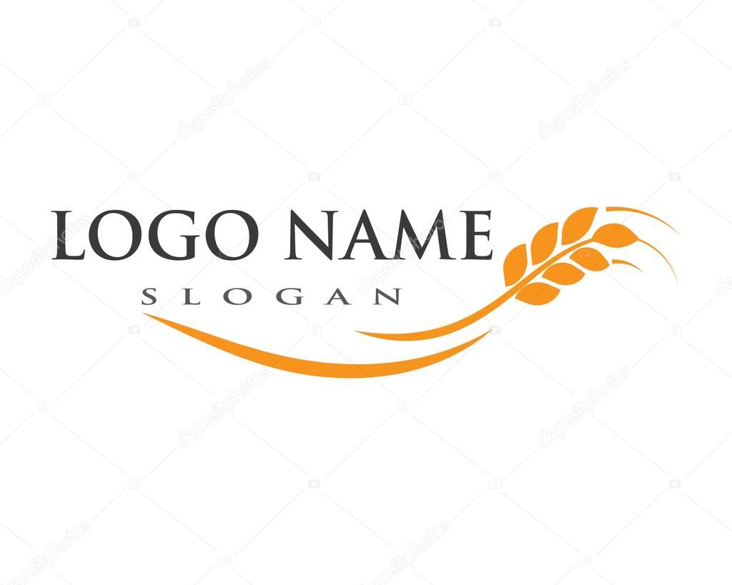 Agriculture wheat Logo Template vector icon design