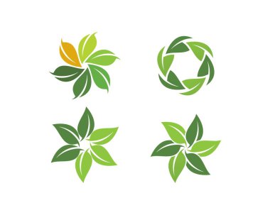  Yeşil yapraklı ekoloji doğa elementi 