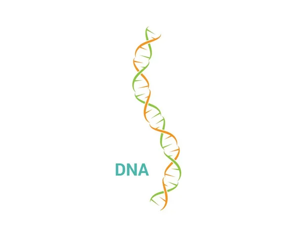 Вектор логотипа ДНК — стоковый вектор