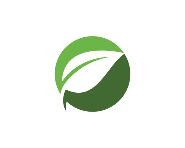 Logos de l'écologie des feuilles vertes élément nature — Image vectorielle
