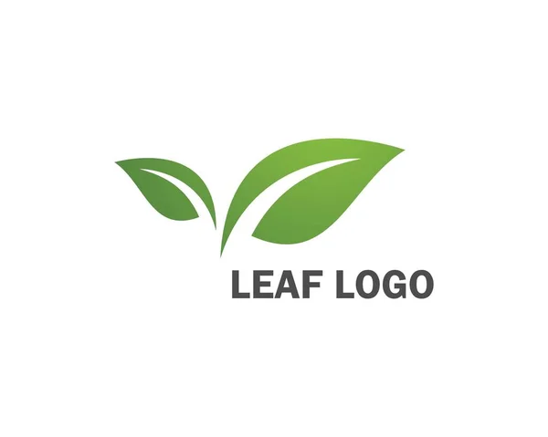 Логотипы экологии зеленых листьев — стоковый вектор