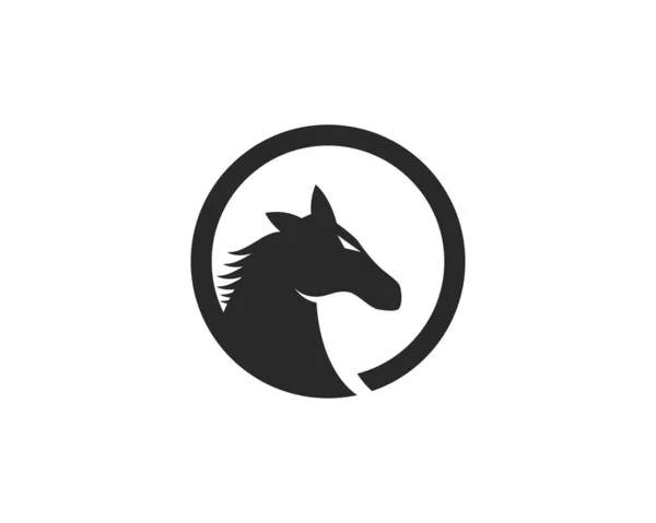 Plantilla de logotipo de caballo — Archivo Imágenes Vectoriales