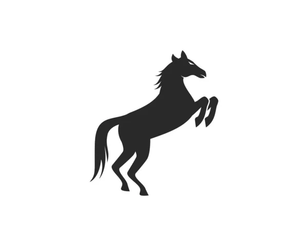 马标志模板 — 图库矢量图片