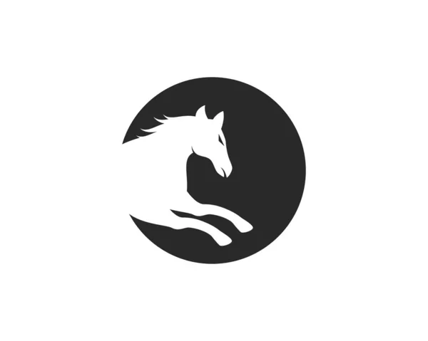 Modello logo cavallo — Vettoriale Stock