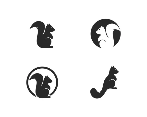 Eichhörnchen-Logo — Stockvektor