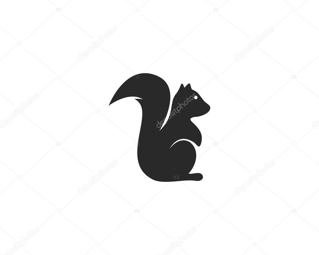 Squirrel logo vector icon