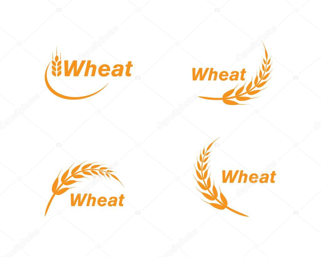 Wheat Logo Template vector icon design