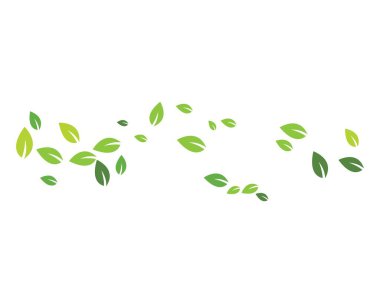 Yeşil yapraklı ekoloji doğa elementi