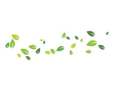 Yeşil yapraklı ekoloji doğa elementi