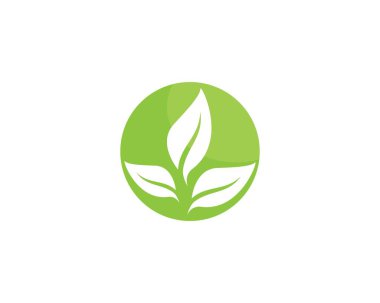 Yeşil yapraklı ekoloji doğa elementi 