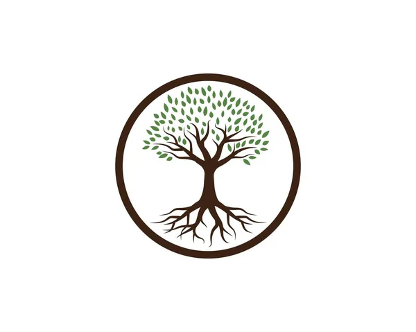Modèle de logo icône arbre — Image vectorielle